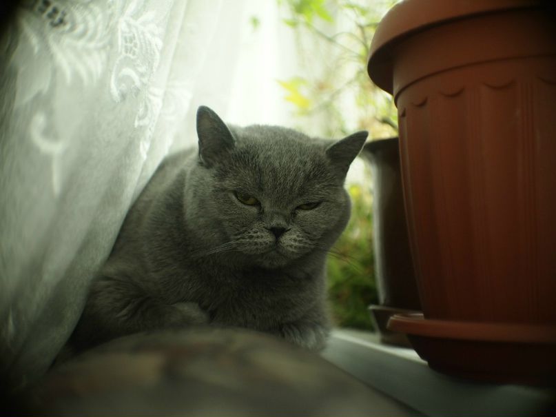 Никита Долгов | Зеленоград