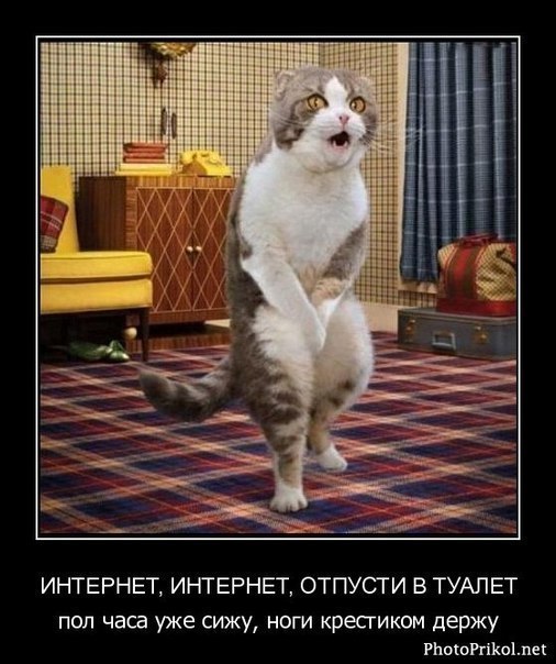 Елена Ивашкина | Москва