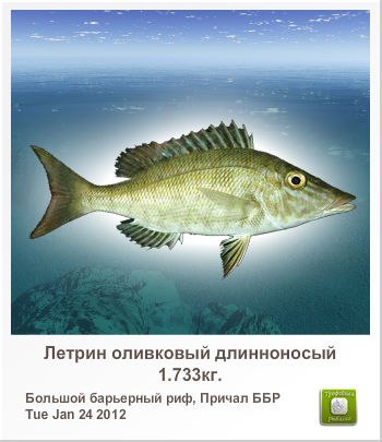 Владимир Куличенко | Арциз