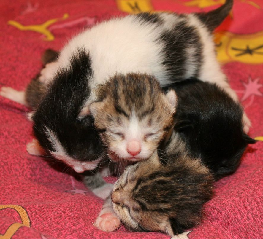 Влада Павлинская | 