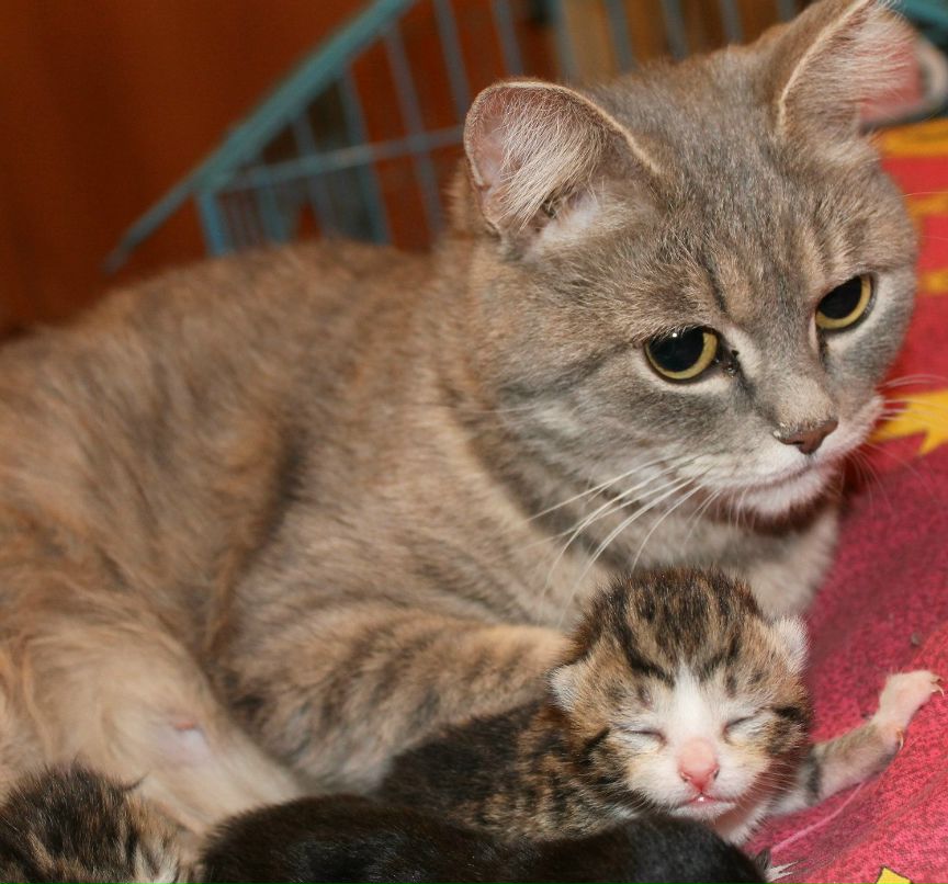 Влада Павлинская | 