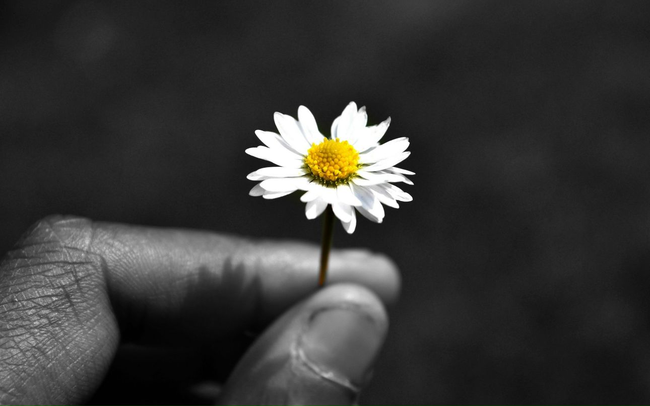 Антон Сорокин | Саратов