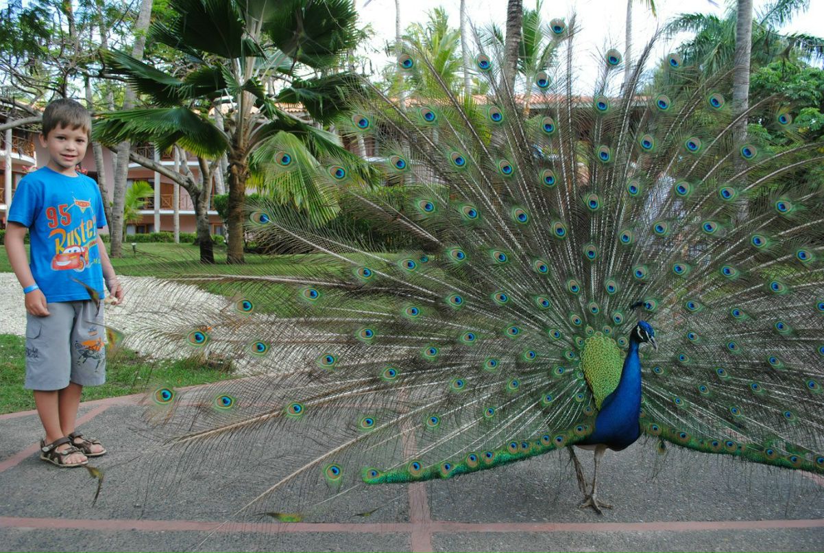 Юлия Соколова (Лыкова) | 