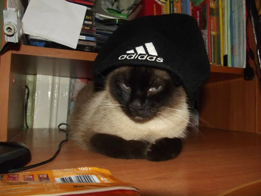 Сергей Зенин | Ахтубинск