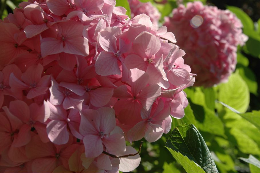 №10, Наталія Діденко, Киев №10, Наталія Діденко, Киев