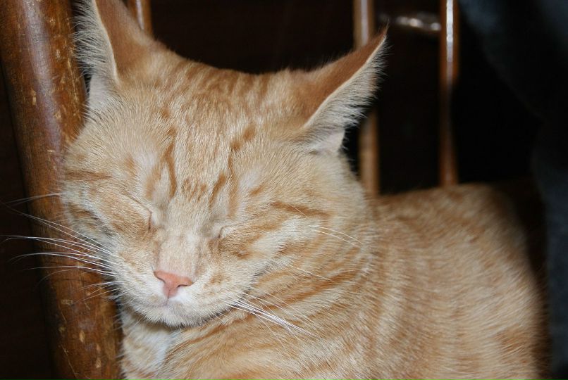 Максим Булдин | Нижний Новгород