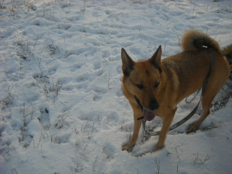 №96, Максими Дудник, Москва №96, Максими Дудник, Москва