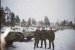 Роман Павленко фотография #22