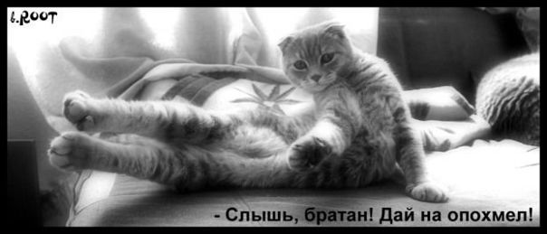 №5, Толь Толич, 68 лет, Эммаус (поселок) №5, Толь Толич, 68 лет, Эммаус (поселок)