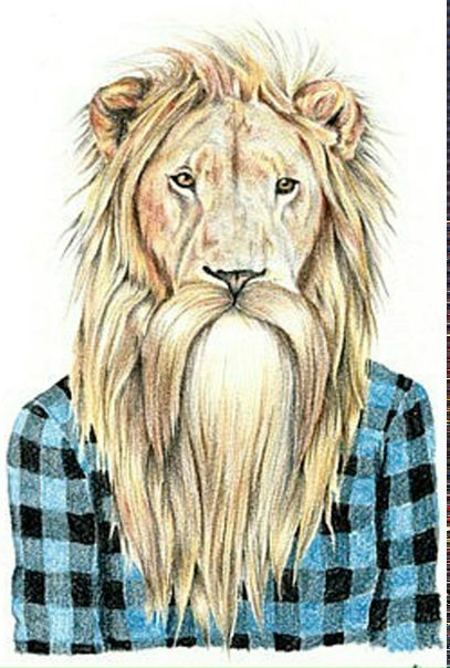 №38, Зак Bananadude, Бишкек №38, Зак Bananadude, Бишкек