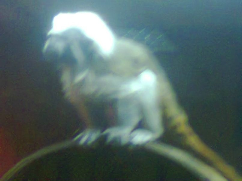 Анна Свищ ✿ܓBaRsY4kA✿ܓ | Харьков