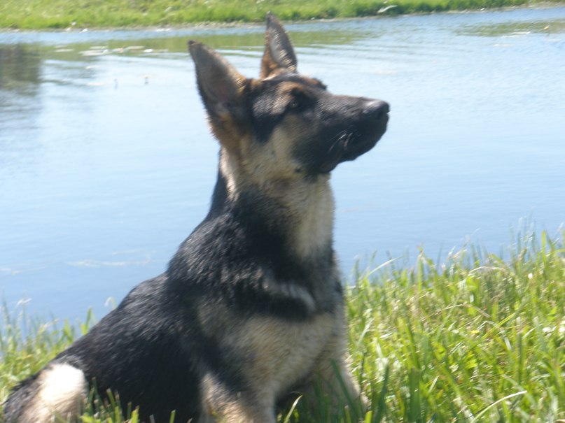 Сергей Кутовой | Киев