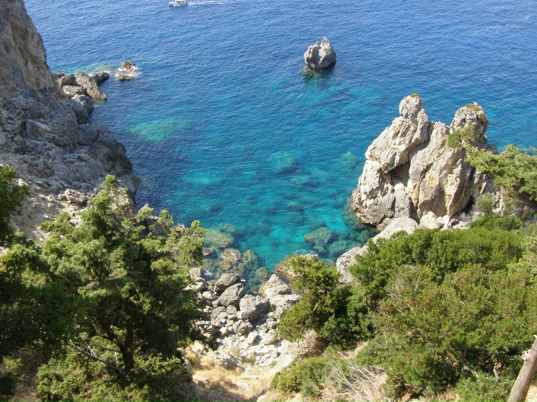 Анастасия Захарова | 