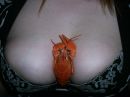 Фотография Jeksan Krot