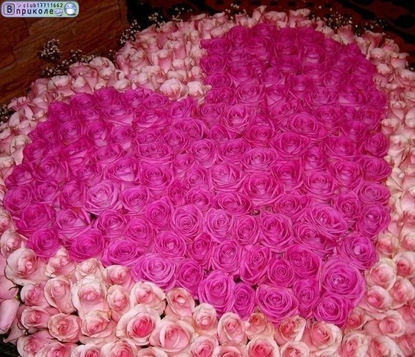 Константин Варава | Мариуполь