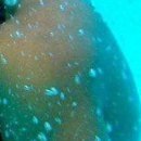 №12, Ирина Осадчук №12, Ирина Осадчук