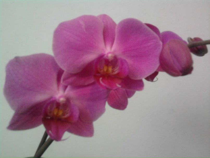 Валентина Колосова | Кемерово