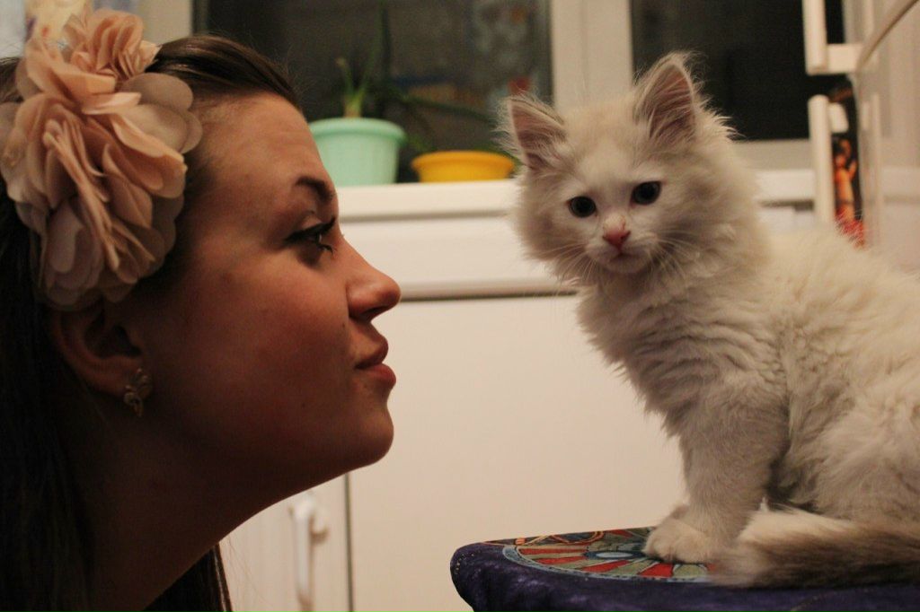 Анастасия Анищенко | Черноморское