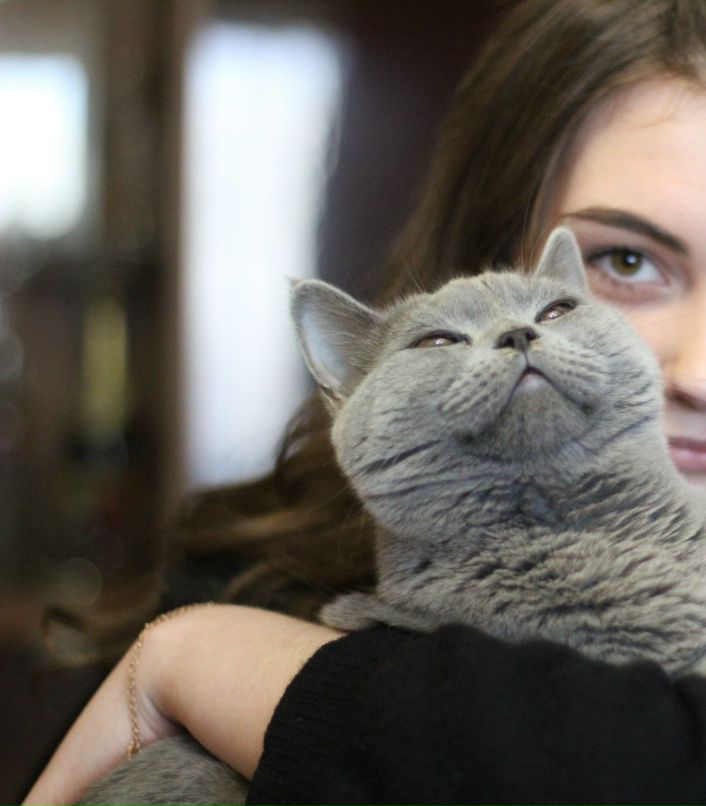 Настя Сошина | 