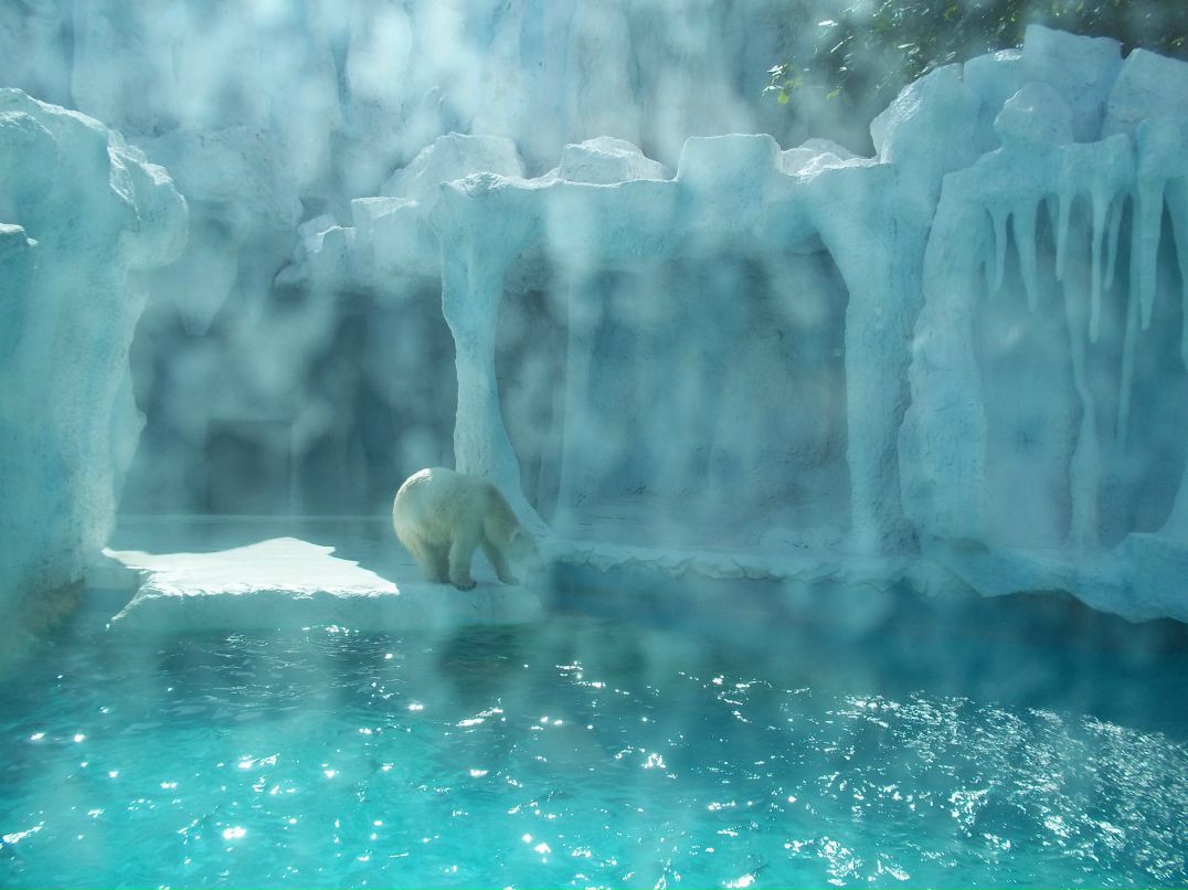 Любовь Соколова | Санкт-Петербург