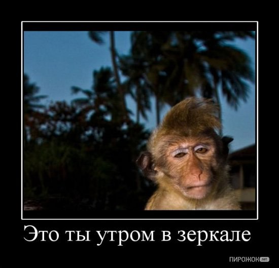 Виталий Марьенков ГОРЛОХВАТ | Киев