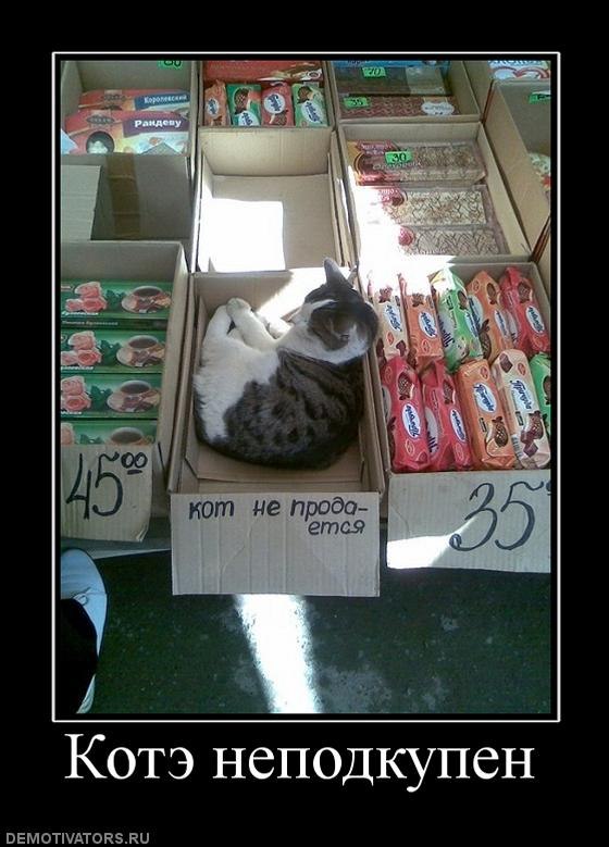 Владимир Грязнов | Озёры