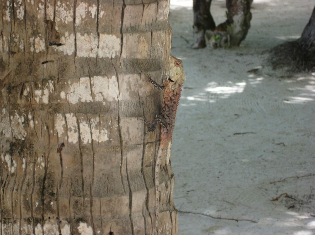 Анна Иконникова | Москва