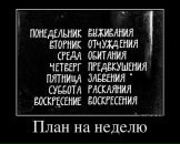 Фотография Александр Стайнов