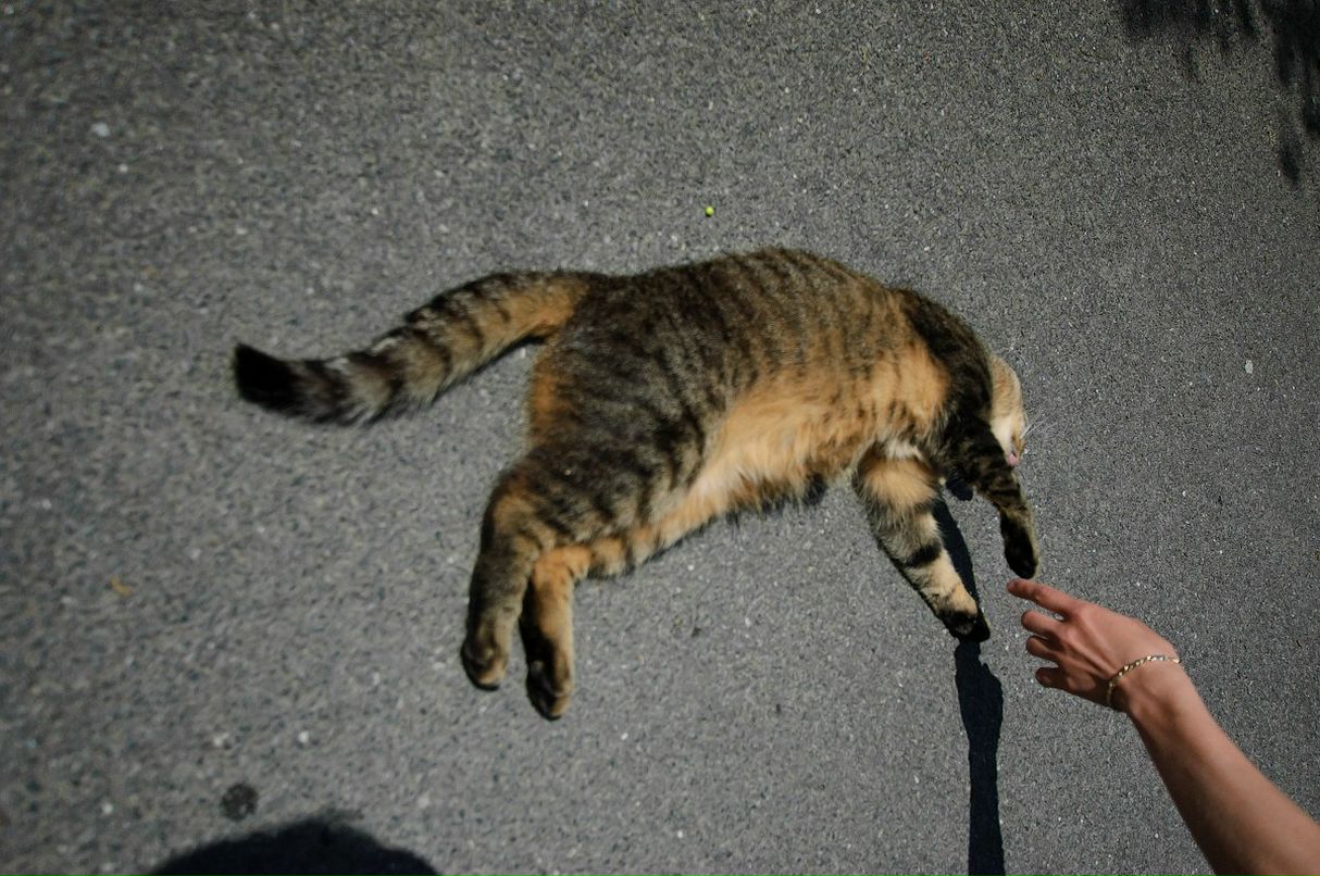 Вера Пройдакова | Москва