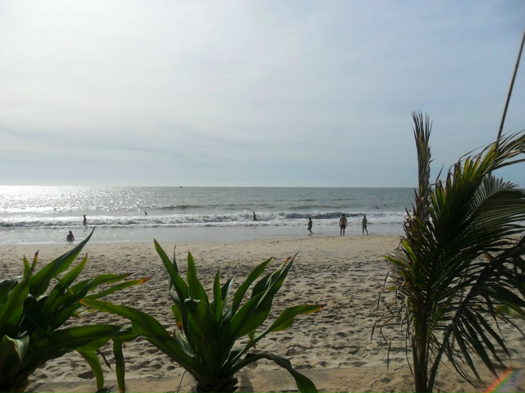 Ринат Гареев | 