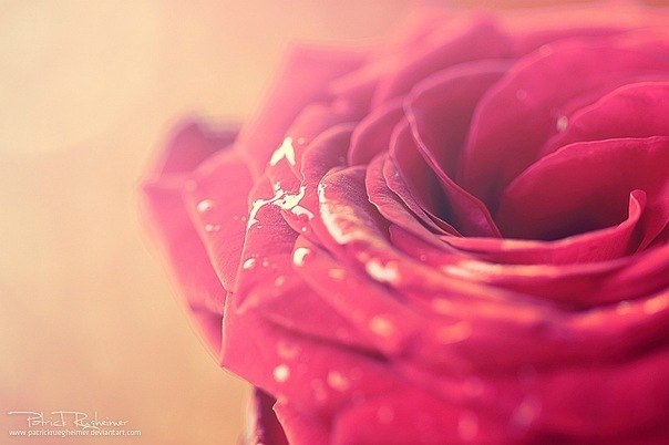 Urika Zinedinova | Симферополь