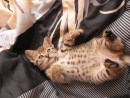 Фотография Кочкиной Лены