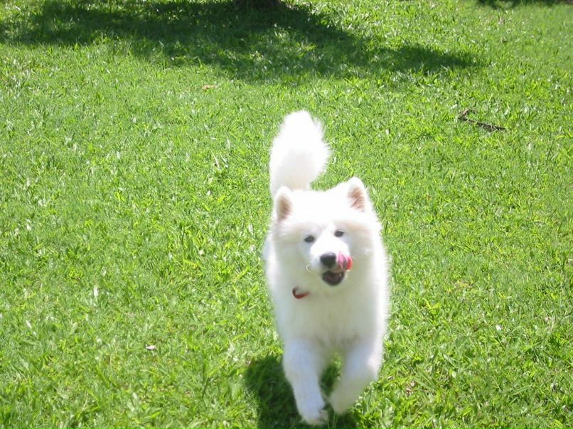 Слава Шубин | Townsville