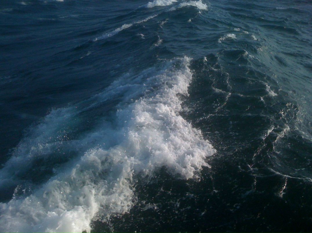 Женя Швец Sony | Одесса