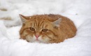 Фотография Саблиной Татьяны