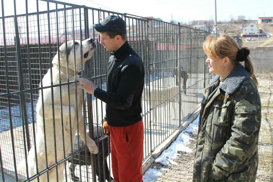 №50, Руслан Гордеев, Львов №50, Руслан Гордеев, Львов