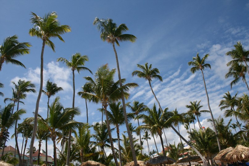Елена Кулачкова | Москва