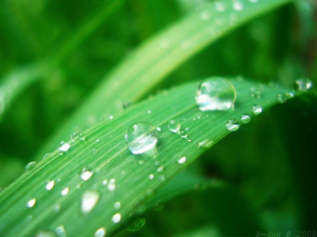 Ирина Арабьян | Новосибирск