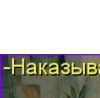 №19, Елена Гудкова, Санкт-Петербург №19, Елена Гудкова, Санкт-Петербург