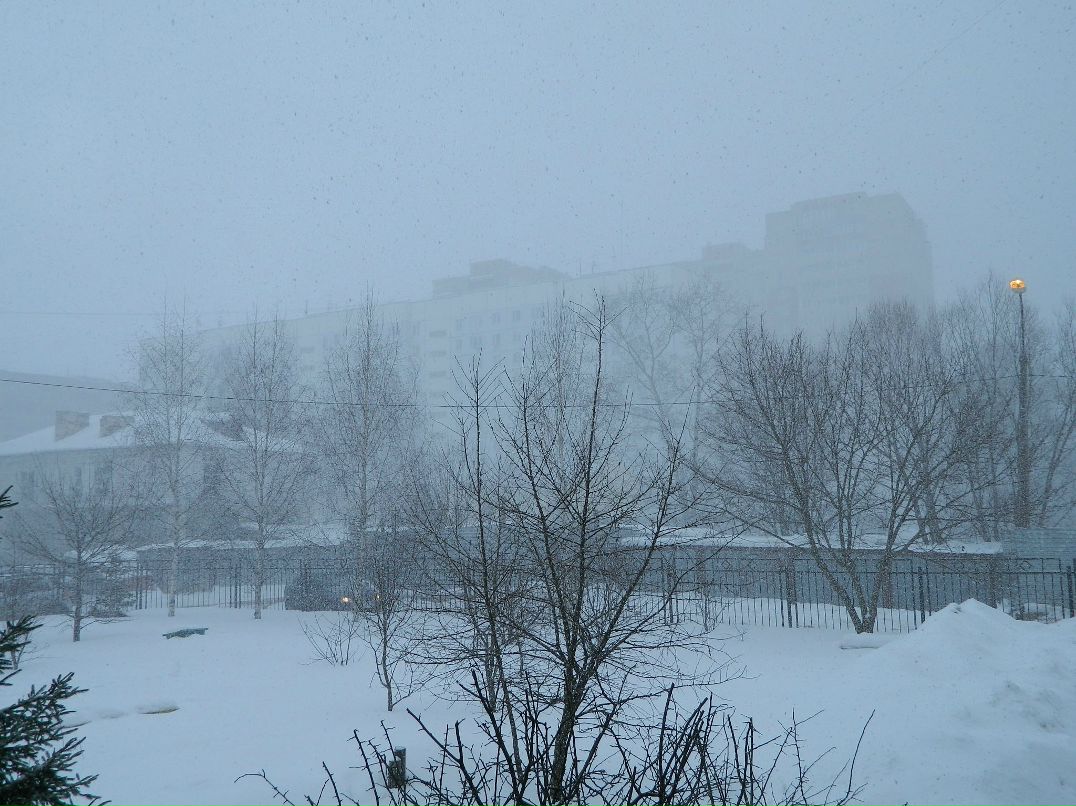 Алиска Додина | 