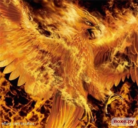 Маргарита Веритас | 