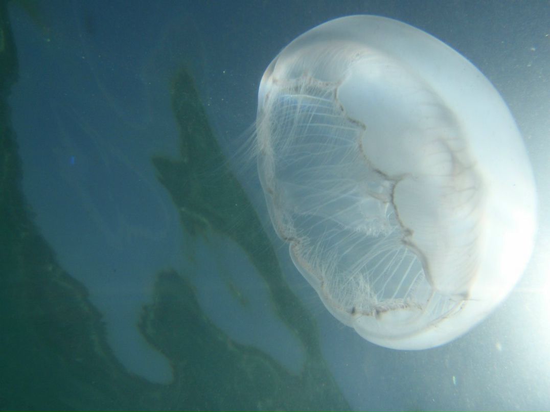 Александр Михедюков | Москва