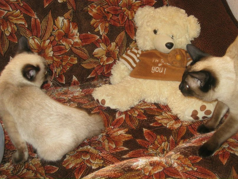 Марина Маркова | Санкт-Петербург