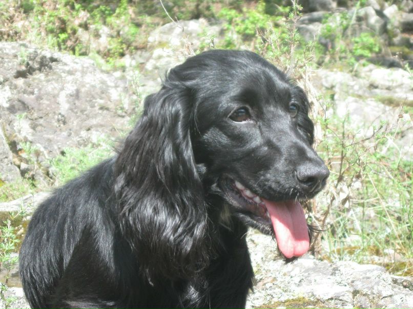 Дмитрий Андреев | Кемерово