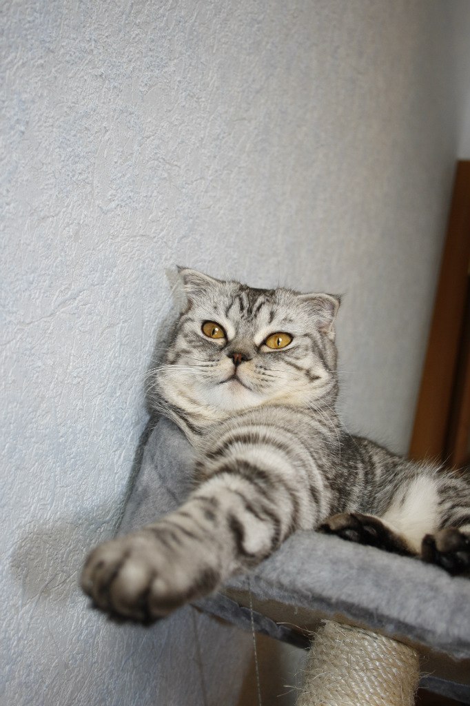 Ольга Склярук | Киев