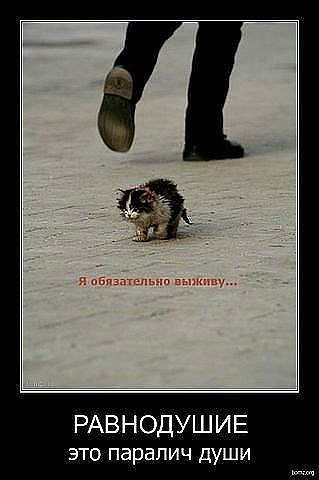 Галина Радионова | 