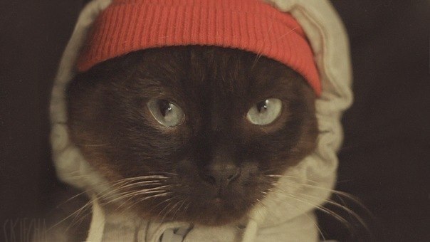 Наталья Лунева | Москва