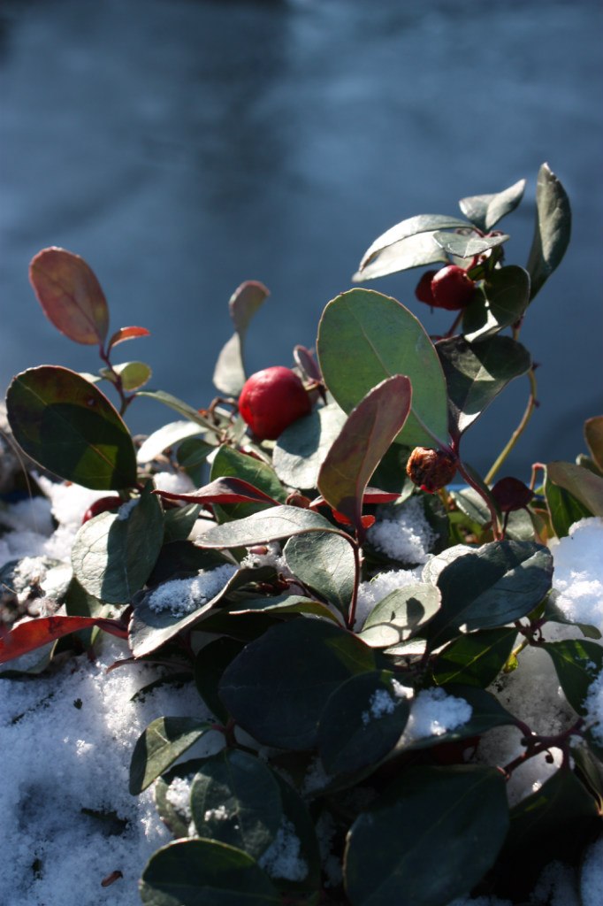 Инна Лёберманн | Москва