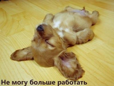 Элла Добрынина Каменская | Санкт-Петербург