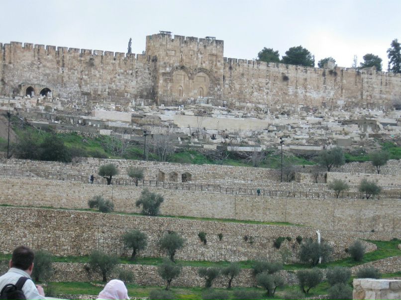 Татьяна Шанина | Санкт-Петербург